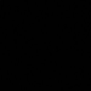 Meet your Posher, Gabbi